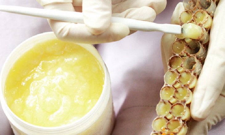 Sữa ong chúa tươi  – 5 cách nhận biết hàng nguyên chất